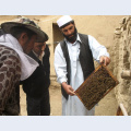 Zavádění včelařství je součástí projektů na podporu drobného podnikání v severním Afghánistánu. Foto: Archiv Člověk v tísni 