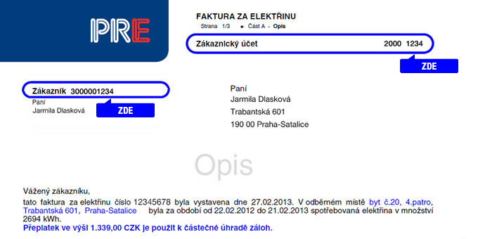 Náhled faktury