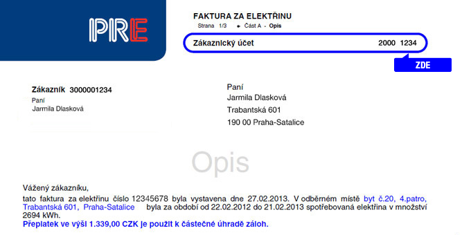 Náhled faktury